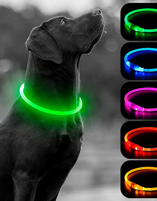Load image into Gallery viewer, LED Dog Collar - USB Rechargeable Light up Dog Collars Glow in the Dark - Waterproof LED Dog Necklace Light for Night Walking (Green)
