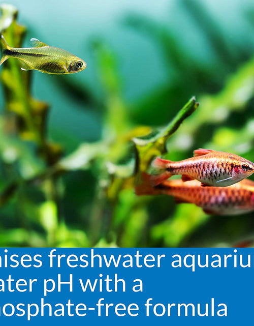 Load image into Gallery viewer, Ph up Ph Adjuster, Raises Freshwater Aquarium Water Ph to the Level Your Fish Need to Thrive, Test Water Weekly and Use to Correct Ph Level
