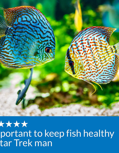 Load image into Gallery viewer, Ph up Ph Adjuster, Raises Freshwater Aquarium Water Ph to the Level Your Fish Need to Thrive, Test Water Weekly and Use to Correct Ph Level
