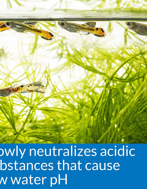 Load image into Gallery viewer, Ph up Ph Adjuster, Raises Freshwater Aquarium Water Ph to the Level Your Fish Need to Thrive, Test Water Weekly and Use to Correct Ph Level
