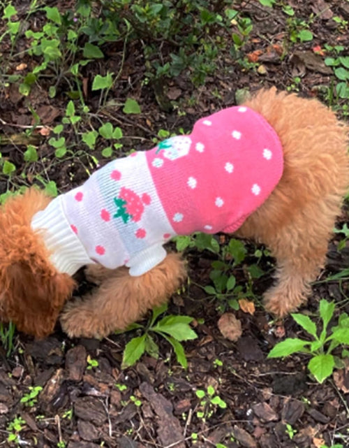 Load image into Gallery viewer, Pet Dog Sweaters Classic Knitwear Turtleneck Winter Warm Puppy Clothing Cute Strawberry and Heart Doggie Sweater
