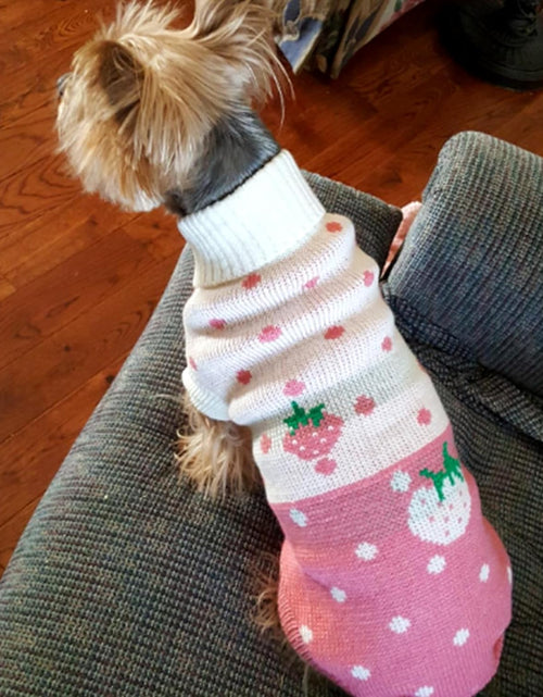 Load image into Gallery viewer, Pet Dog Sweaters Classic Knitwear Turtleneck Winter Warm Puppy Clothing Cute Strawberry and Heart Doggie Sweater
