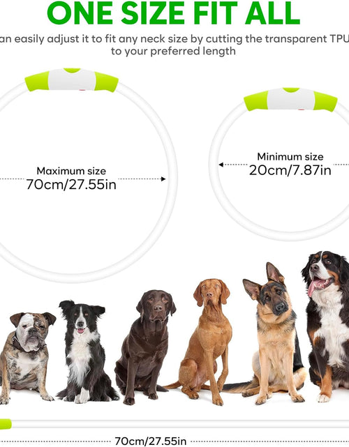 Load image into Gallery viewer, LED Dog Collar - USB Rechargeable Light up Dog Collars Glow in the Dark - Waterproof LED Dog Necklace Light for Night Walking (Green)

