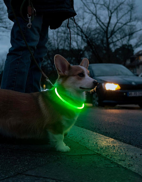 Load image into Gallery viewer, LED Dog Collar - USB Rechargeable Light up Dog Collars Glow in the Dark - Waterproof LED Dog Necklace Light for Night Walking (Green)

