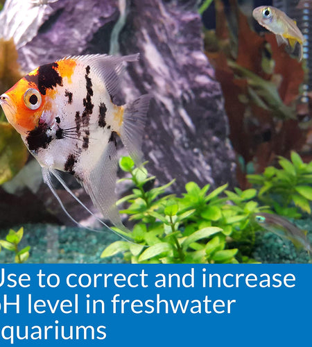 Ph up Ph Adjuster, Raises Freshwater Aquarium Water Ph to the Level Your Fish Need to Thrive, Test Water Weekly and Use to Correct Ph Level