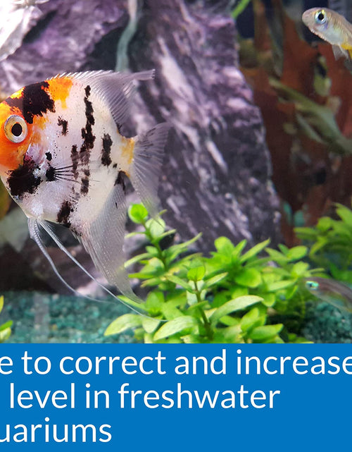 Load image into Gallery viewer, Ph up Ph Adjuster, Raises Freshwater Aquarium Water Ph to the Level Your Fish Need to Thrive, Test Water Weekly and Use to Correct Ph Level
