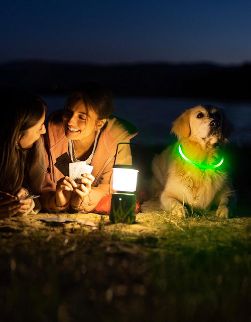 Load image into Gallery viewer, LED Dog Collar - USB Rechargeable Light up Dog Collars Glow in the Dark - Waterproof LED Dog Necklace Light for Night Walking (Green)

