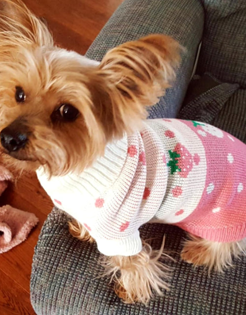 Load image into Gallery viewer, Pet Dog Sweaters Classic Knitwear Turtleneck Winter Warm Puppy Clothing Cute Strawberry and Heart Doggie Sweater
